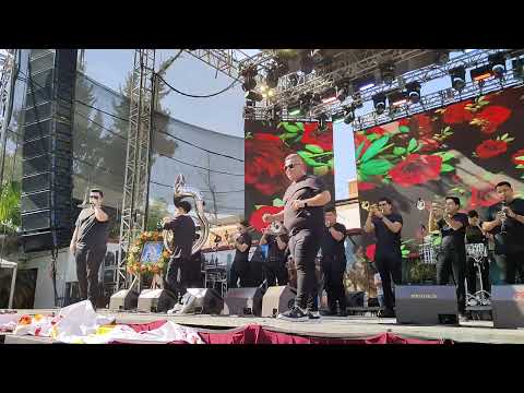 La Feria de las Flores, Banda Clave Nueva, San Gregorio Atlapulco Xochimilco CDMX 14-03-25