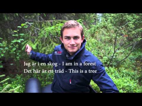 Learn Swedish, Lesson 1: Useful Phrases