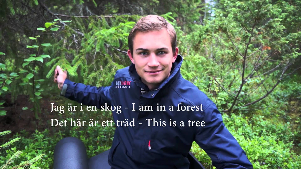 Hej, Tack, and the Phrases That Get You Around Sweden
