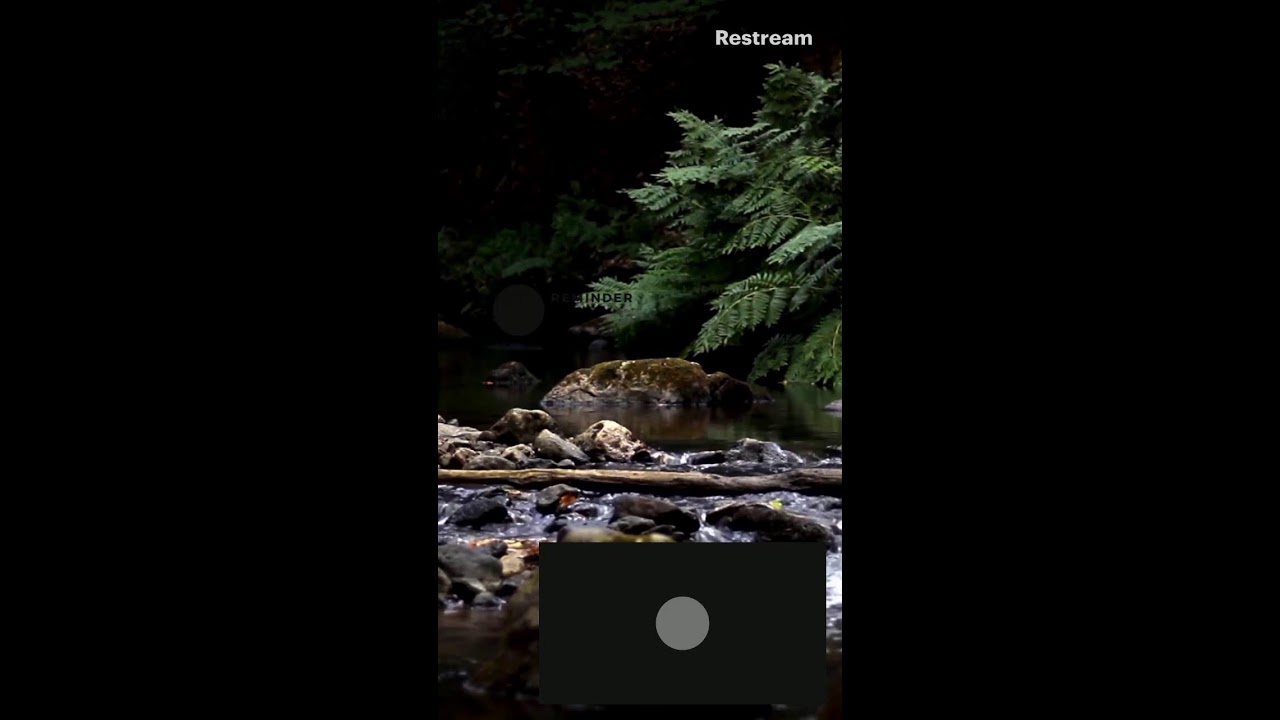 Multistreaming with Restream.io