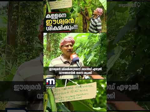 ഭക്ഷണത്തിനായി കൊണ്ടുപോയതാണെങ്കിൽ സങ്കടമില്ല; വാഴക്കുല മോഷണം പതിവായതോടെ ബോർഡ് തൂക്കി കർഷകൻ | Farmer