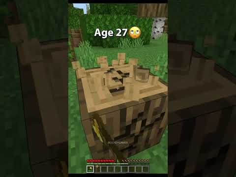 MASTER ESCAPE: Minecraft Trap Tips (Short)