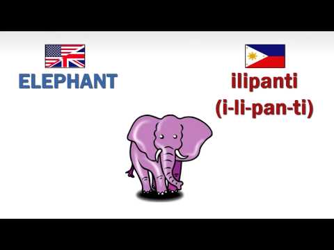 How to speak  Pangasinan- Wild Animals (Part 1)