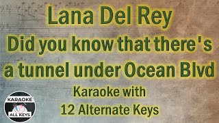 Lana Del Rey Did you know that there's a tunnel under Ocean Blvd Karaoke Instrumental