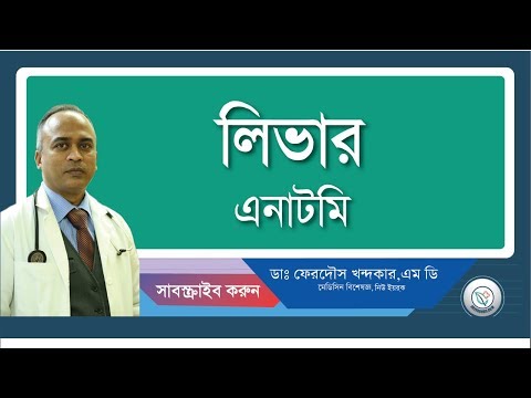 লিভার(কলিজা)::স্বাভাবিক গঠন।