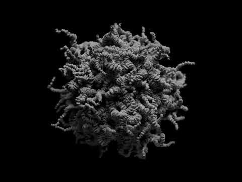 #bifrost strands #arnoldrender