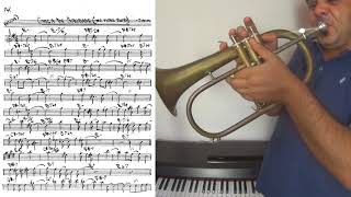 Chega de Saudade (No More Blues) - trumpet cover