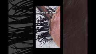Dirty lashes cleaning| dirty lash extensions|dirty lashes asmr | dirty lashes removal| satisfying