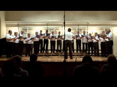 MVA IGK - Đuro Prejac: Vu plavem trnaci