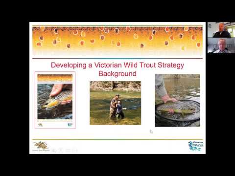 VFA Talk Wild Trout 2020 - Wed 25 Nov - Trout Strategy with Paul Stolz and Ray Ferguson