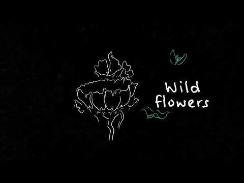 Video thumbnail for Wildflowers