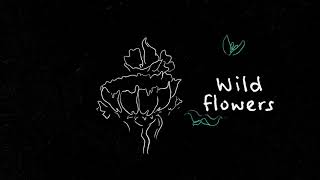 Wildflowers Music Video