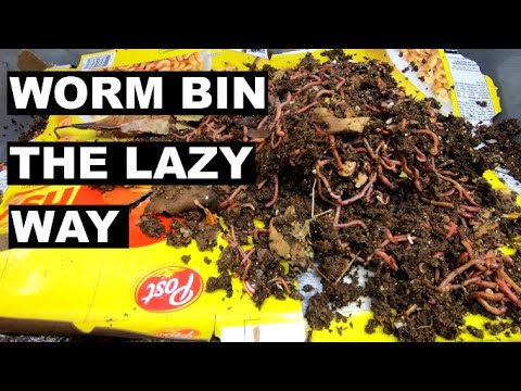 LASAGNA Compost Worm Bin