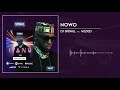 DJ Spinall - Nowo Ft. Wizkid (Audio)