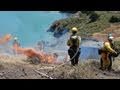 Fire And Butterflies Science On The SPOT