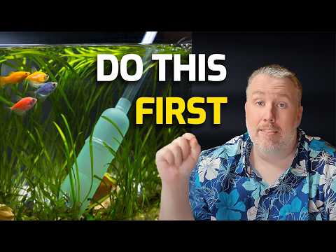 How to Properly Clean Your Fish Tank (Detailed Version)
