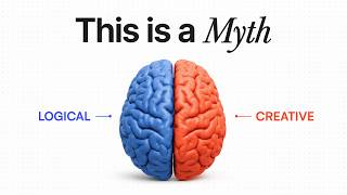 Why Your Brain Works NOTHING Like You Think