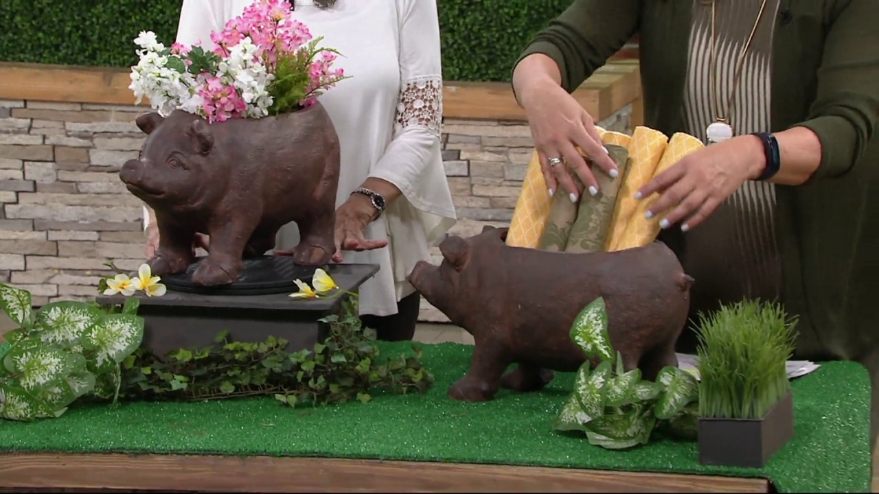 Brown Resin Piggy Planter on QVC