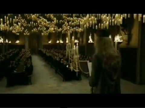 Fresh Dumbledore   Partytrack