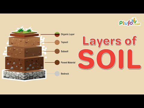 The 5 Layers of Soil || Soil formation || Best educational video for kids || plufo.com
