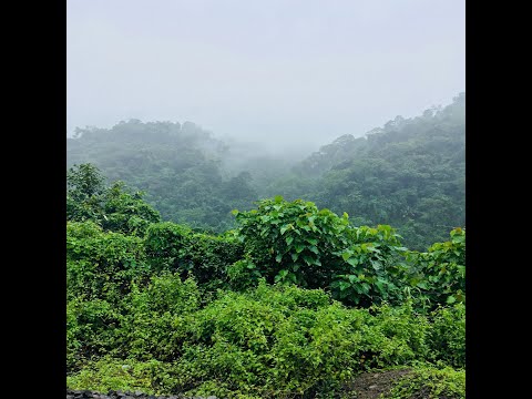 Video thumbnail ExrePY2odQo