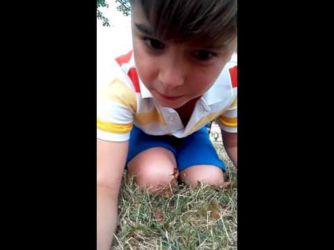 #1 video with RKMZ AND ME