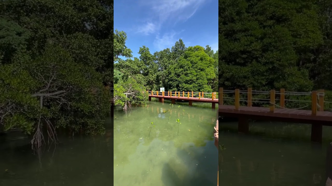 YouTube Short thumbnail