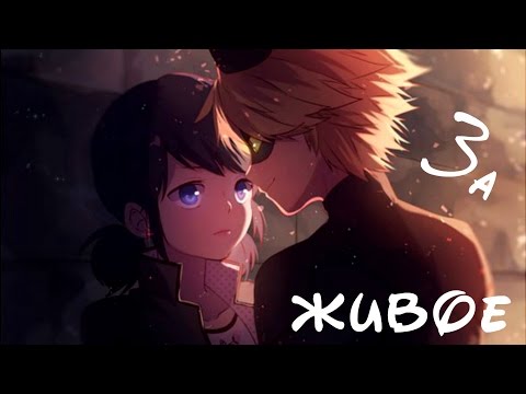 Леди Баг и Супер-кот – За живое