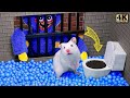 Hamsterious EscapeThe Poppy Playtime Maze - Hamster Vs Huggy Wuggy