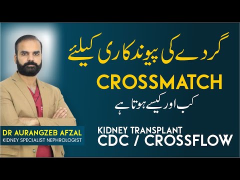 Kidney Transplant & Cross Match Test | Gurdey Ke Pewandkari | Kidney Transplant Guide in Urdu