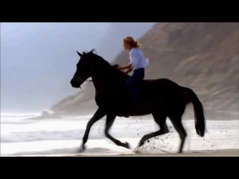 Raphael Mayers & Rage Vision - Night Hunters (Orig