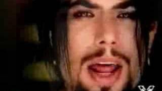 Dave Navarro-Hungry Viedo