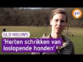 GLD Nieuws 21 februari 2021