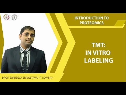 TMT 體外標籤 (TMT In vitro labeli)