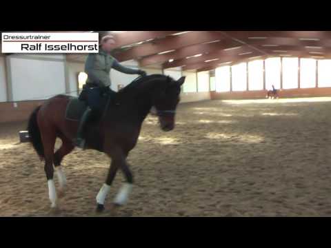 www.dressurtrainer.de Die diagonalen Hilfen im Galopp