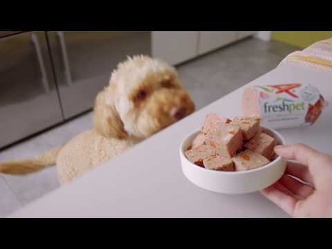 Healthy Meals Happy Dogs | Freshpet UK Commercial :30