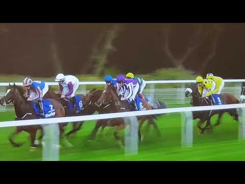 York 2018 Group 1-Sea of Class