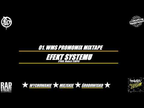 01. WMS PROMOMIX MIXTAPE - Efekt systemu (Prod. Małach TEMPO)