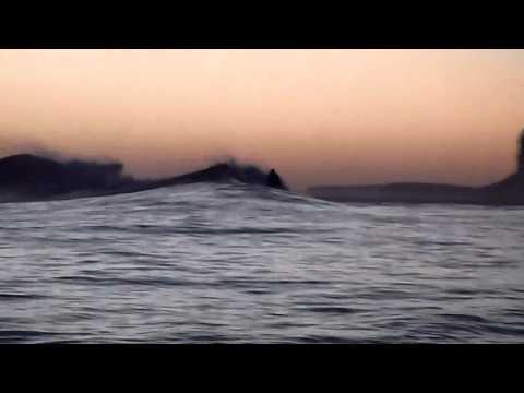 Tommy Gun on Fenn's left in Mauritius