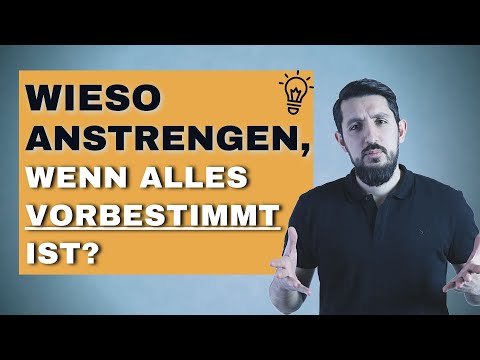 ENDLICH VERSTANDEN! - Freier Wille vs. Vorbestimmung