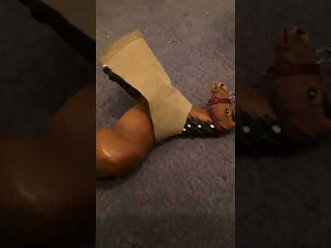 La mucca Bezzi trasporta la cavalla Aischa