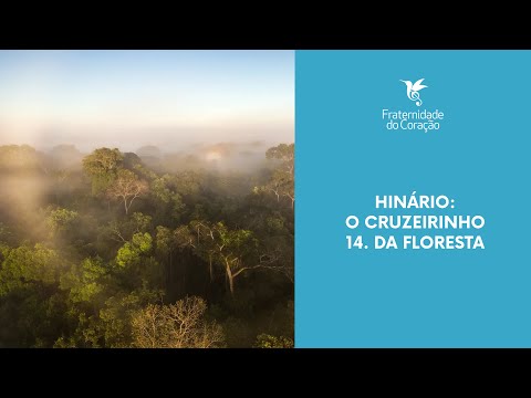 Fraternidade do Coração I 17 anos - O Cruzeirinho (Pad. Alfredo): 14. Da Floresta