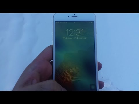 iphone 6s plus inside snow will it survive ?
