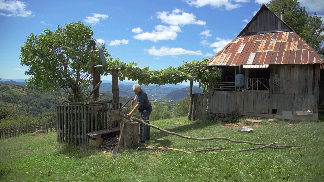 Happy independent life of a self-sufficient landlord on top of a mountain