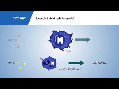CYTOKINY: synergia i efekt nadmiarowości