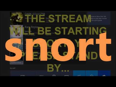 KO Gaming-DsPgaming--one heavy day of a mature man