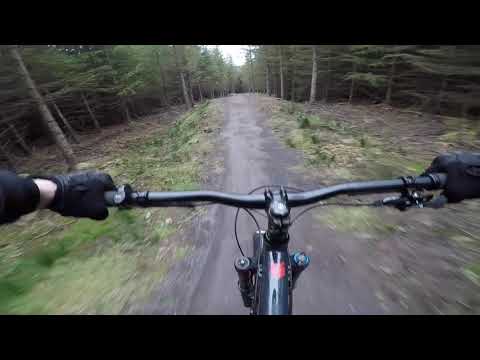 download lagu mp3 mp4 Calibre Sentry, download mp3 Calibre Sentry free download mp3, download mp3 Calibre Sentry