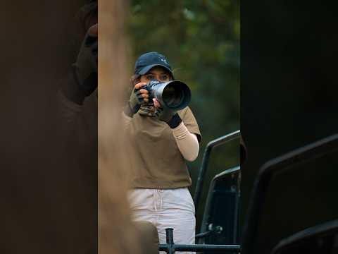 Video taken with the new Nikon Z6III with Nikkor Z 600mm f/6.3. #Z6III #600MMF6.3