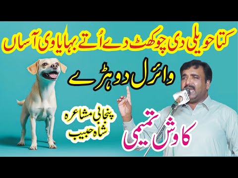 Kuta Hawaili di Chokhat New Dohra Kawish Tamimi || Punjabi Mushaira Shah Habib || ANW Studio ||