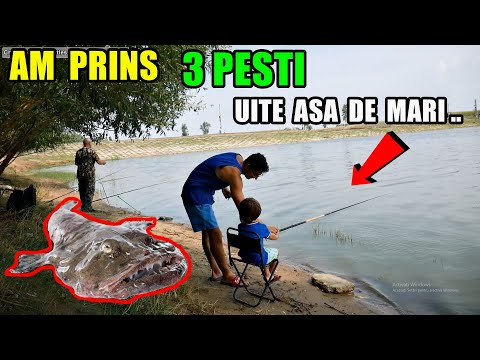 I caught the "BIGEST GODZILLA FISH"! I'M TEACHING MY 4 YEAR OLD SON TO FISH! 🐟🐠🐡🦈